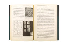 O Arqueólogo Português, Série V, Vol. 8/9