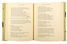 Poesia III (1963-1976)