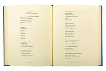 Erros Meus - Poesia Incompleta