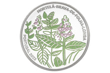 Longleaf spearmint (mentha longifolia) (Silver Proof)