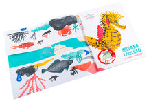 Pequeno e Precioso. O Cavalo-Marinho