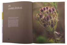 Guia da Flora de Portugal Continental