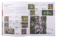 Guia da Flora de Portugal Continental