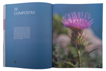 Guia da Flora de Portugal Continental