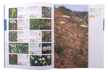 Guia da Flora de Portugal Continental