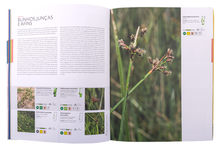 Guia da Flora de Portugal Continental