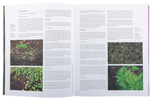 Sistemática das Plantas Vasculares