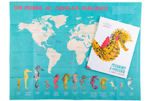 Pequeno e Precioso. O Cavalo-Marinho