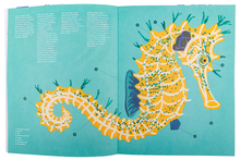 Pequeno e Precioso. O Cavalo-Marinho