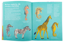 Pequeno e Precioso. O Cavalo-Marinho