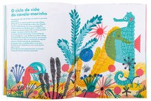 Pequeno e Precioso. O Cavalo-Marinho