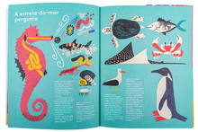 Pequeno e Precioso. O Cavalo-Marinho