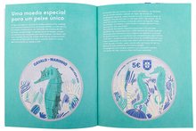 Pequeno e Precioso. O Cavalo-Marinho