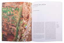 Sítios de Interesse Botânico de Portugal Continental — Tomo II