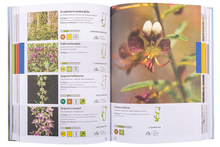 Guia de bolso da Flora de Portugal Continental