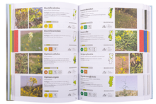 Guia de bolso da Flora de Portugal Continental