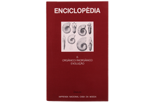 Orgânico / Inorgânico Evolução