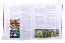 Estrutura e Biologia das Plantas