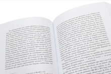 A Teoria Silvestrina na Harmonia do Universo - Homem, Mundo e Deus na Obra de Silvestre Pinheiro Ferreira