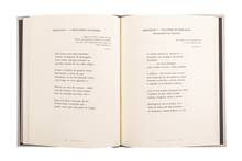 Coreografando Melodias no Rumor das Imagens