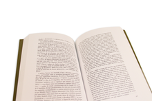 Intervenções- Vol. X