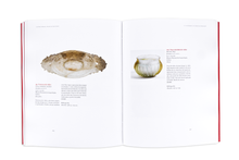 Lusitânia Romana. Origem de Dois Povos 2ª Edição