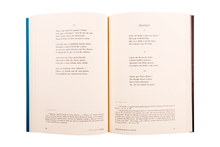 Poesias Eróticas, Burlescas e Satíricas