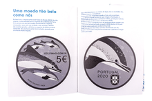 Príncipe dos Mares, O Golfinho-Comum