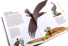 Rainha dos Ares. A Águia-Imperial-Ibérica