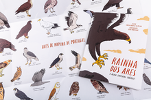 Rainha dos Ares. A Águia-Imperial-Ibérica