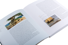 Terra adentro - A Espanha De Joaquín Sorolla