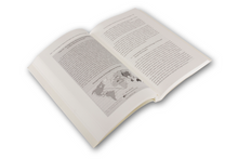 Uma Estratégia de Segurança Energética para o Século XXI em Portugal - Atena n.º 27