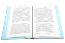 Manuel Joaquim Pinheiro Chagas. Uma biografia (1842-1895)