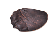 Lisboa 94 Capital Europeia da Cultura