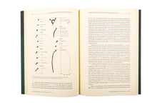 O Arqueólogo Português, Série V, Vol. 8/9