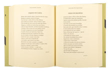 Poesia III (1963-1976)