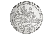 Longleaf spearmint (mentha longifolia)