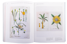 A Idade do Papel: Arte, Política e Sociedade no Tempo das Luzes.  Vol. I: A Vida de Joaquim Carneiro da Silva (1732-1818)