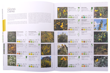 Guia da Flora de Portugal Continental