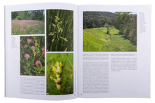 A Vegetação de Portugal