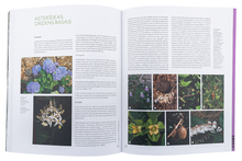 Sistemática das Plantas Vasculares