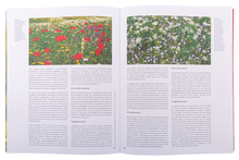 Sítios de Interesse Botânico de Portugal Continental — Tomo II