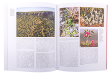 Sítios de Interesse Botânico de Portugal Continental — Tomo II