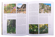 Sítios de Interesse Botânico de Portugal Continental — Tomo II