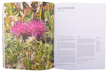 Sítios de Interesse Botânico de Portugal Continental — Tomo II