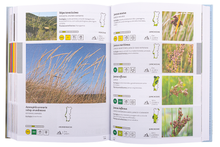 Guia de bolso da Flora de Portugal Continental