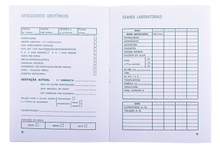 Boletim de Saúde de Grávida