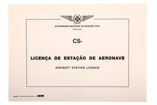 Licença de Estação de Aeronave - Modelo 319