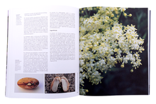 Estrutura e Biologia das Plantas