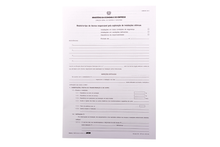 Relatório Tipo Técnico Responsável - Modelo 937